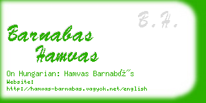 barnabas hamvas business card